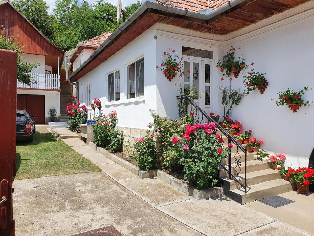 Bed and Breakfast Rozsa Panzio Rimetea Exteriér fotografie