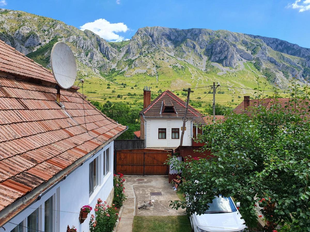 Bed and Breakfast Rozsa Panzio Rimetea Exteriér fotografie